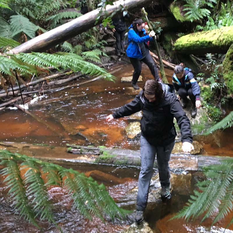 Top 5 Hikes Near Melbourne