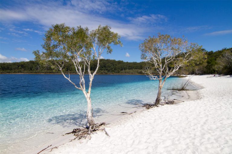 A Taste Of Hiking On K’Gari / Fraser Island