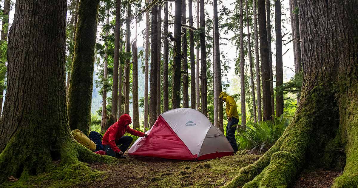 cheap hiking tent