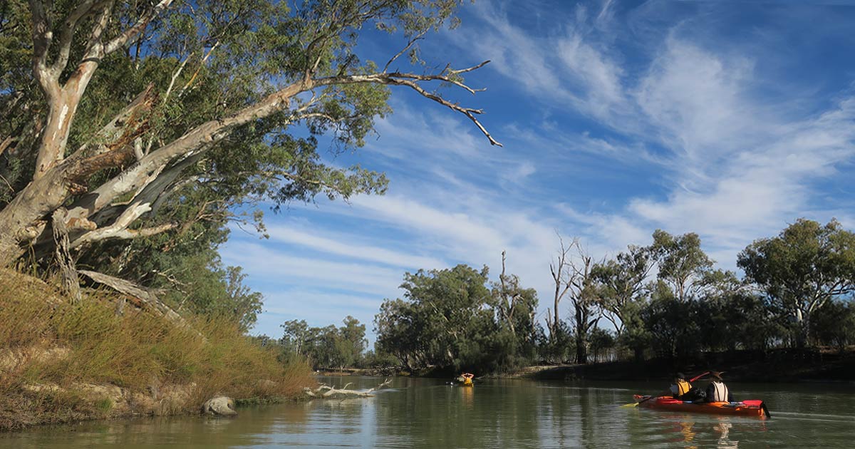 Kayaking Katarapko Creek in Murray River NP, SA | Snowys Blog