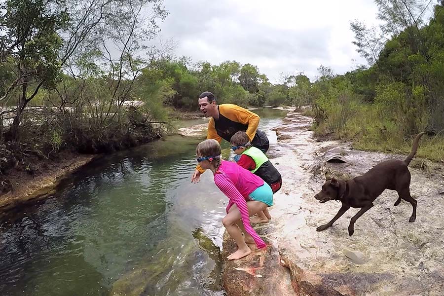 can i take my dog to cape york