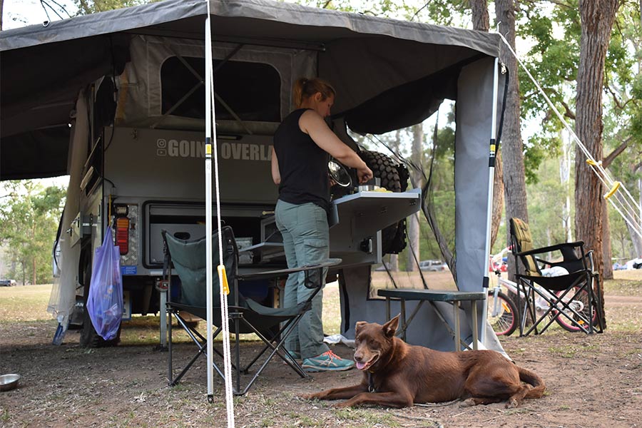 can i take my dog to cape york