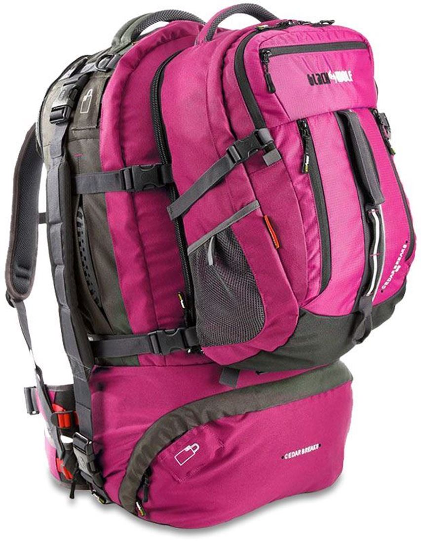 55l travel pack